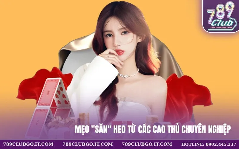 Mẹo Săn Heo Từ Các Cao Thủ Chuyên Nghiệp