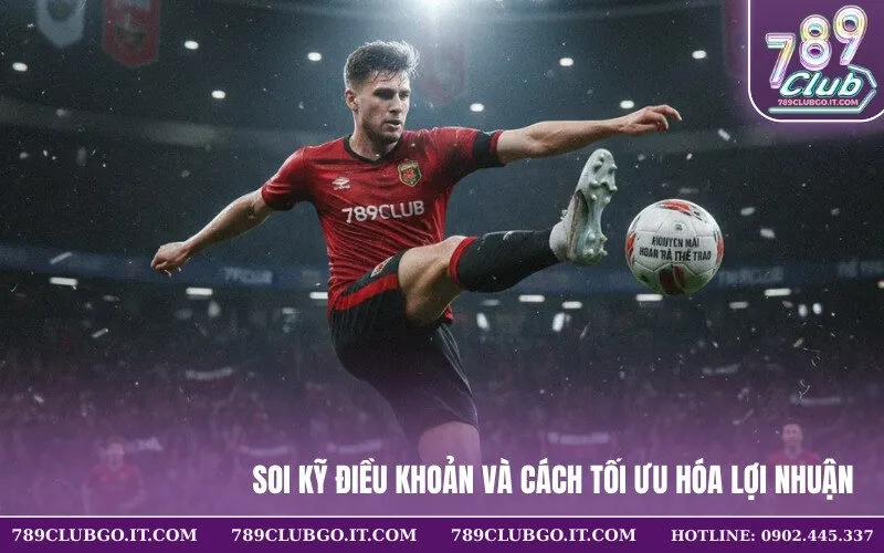 Soi Kỹ Điều Khoản Và Cách Tối Ưu Hóa Lợi Nhuận